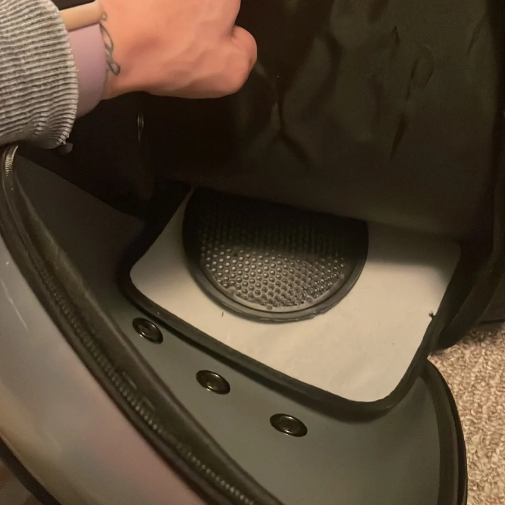N/A cat backpack
